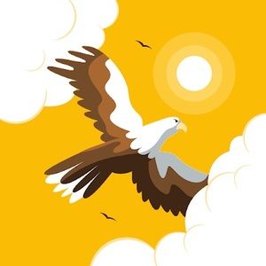 Meet your Posher, Omed